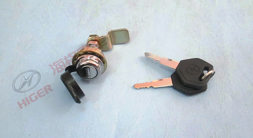 Door lock assembly (hack door)-1