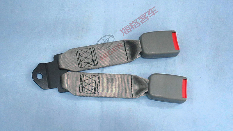 Rear seat belt buckle lock