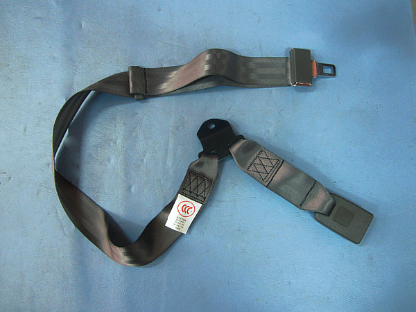 Seat belt (rear row with spinous buckle)