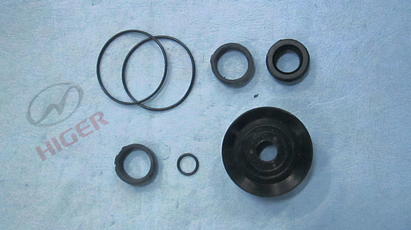 Door pump repair kit (New Asia Star Inner Swing Door)