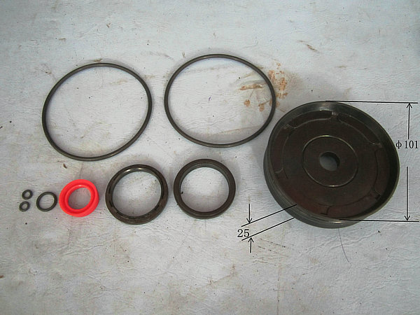 Tuoda external swing door pump repair kit