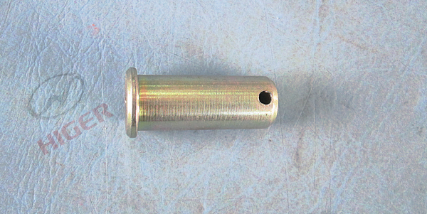 Pin shaft