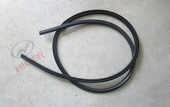 Sealing strip (front door frame)