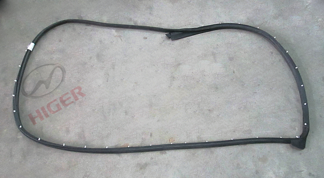 Sealing strip (the main on the left front door)