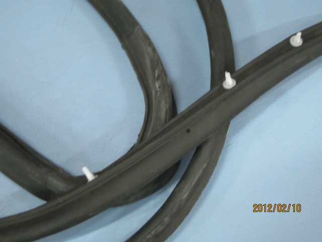 Bande d'étanchéité de la porte du conducteur