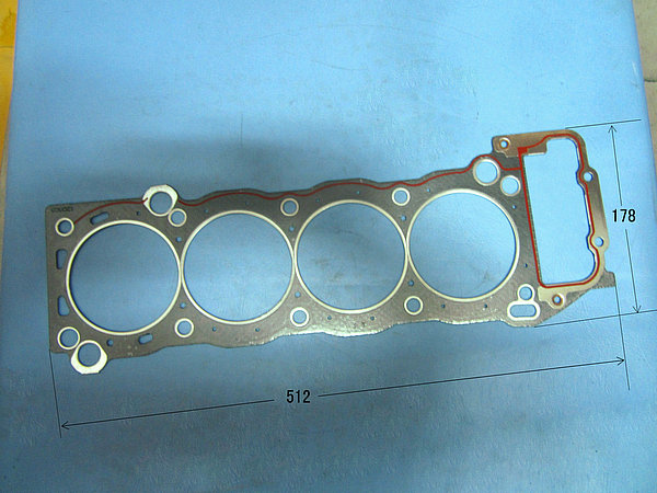 Cylinder gasket assembly