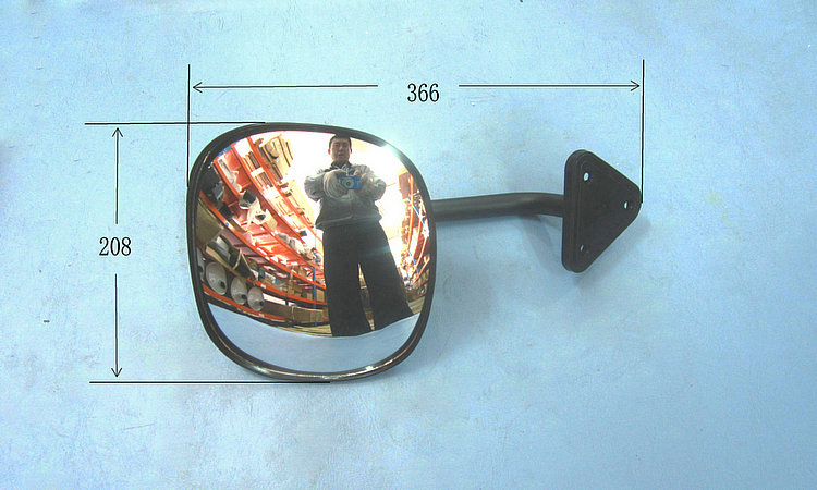 Exterior rearview mirror (rear down view)