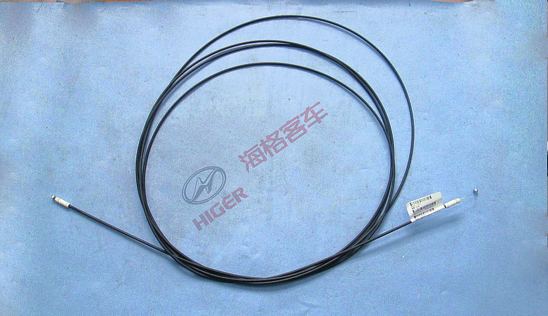 Brossé (porte du réservoir de carburant)