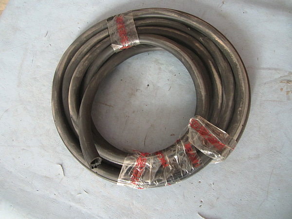 Sealing strip (driver door)-1