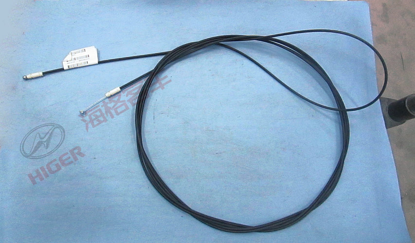 Brushed (fuel tank door)