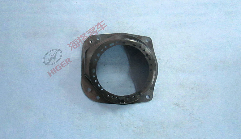 Decorative parts (fuel tank door)