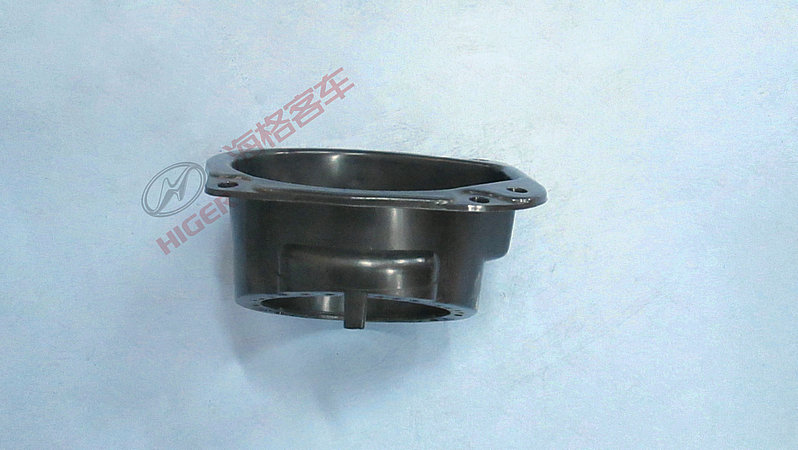 Pièces décoratives (porte du réservoir de carburant)-1