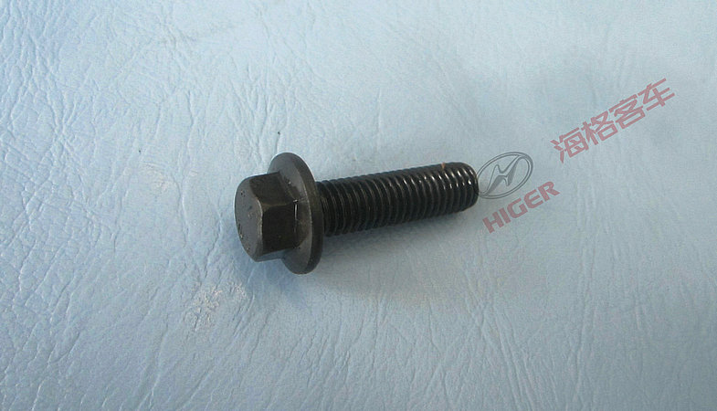 Hexagonal flange bolts