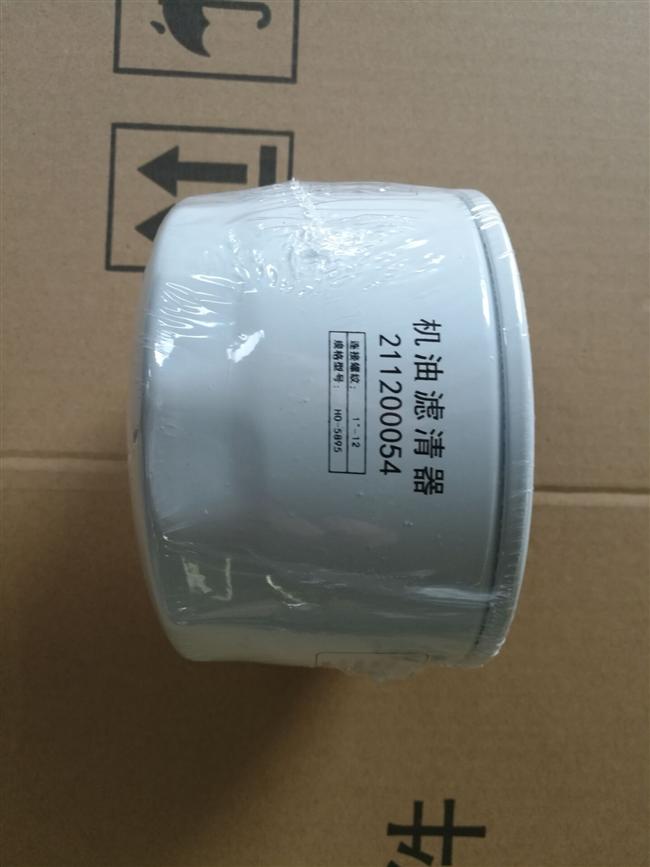 Engine oil filter, WP2.1, KTS