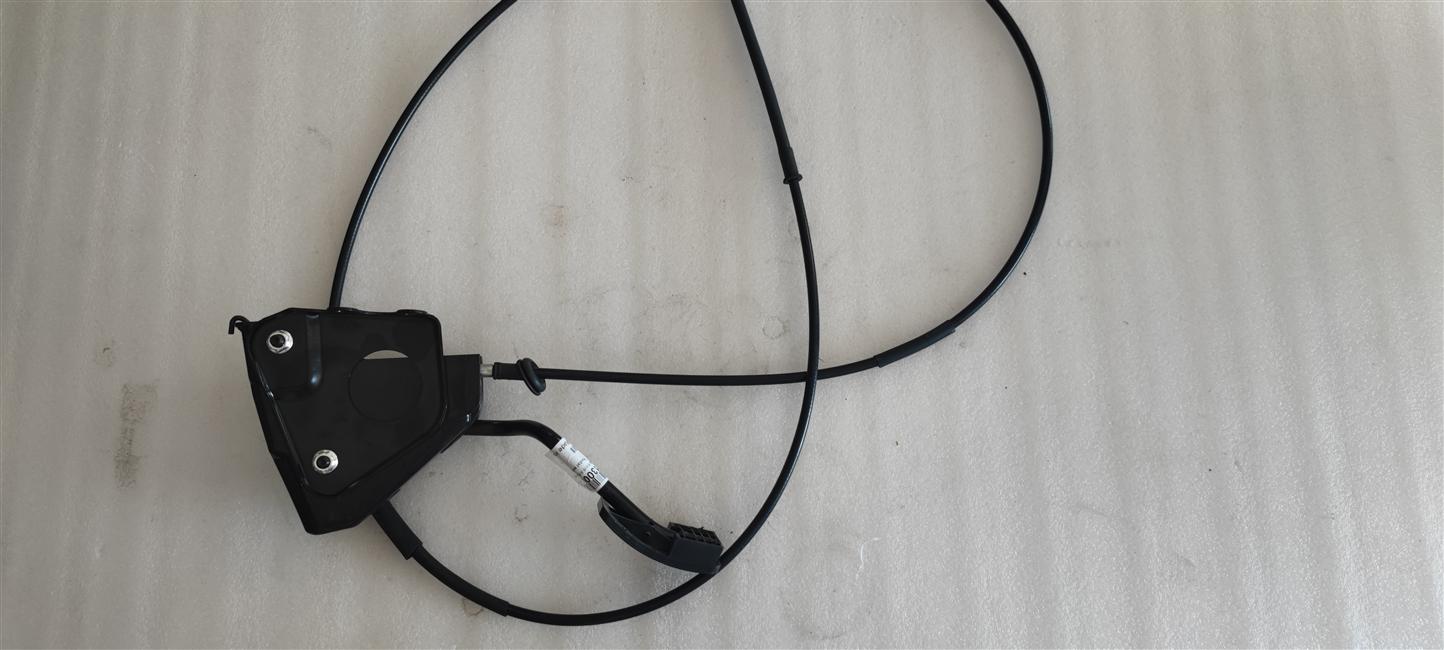 Accelerator pedal with pull cable assembly, JM491QE/V20, left rudder-1