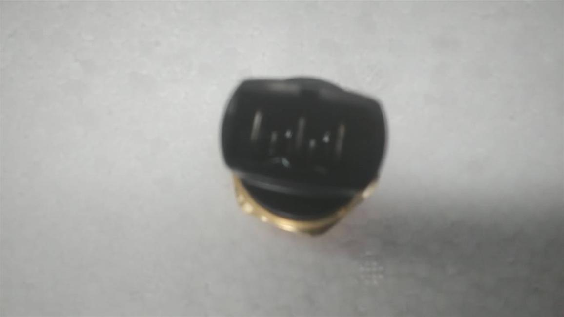 Water temperature thermal switch (one-shaped), three-speed, 213700140