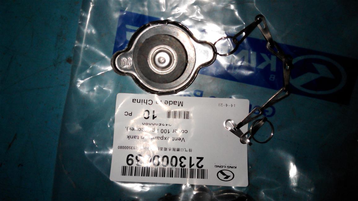 Exhaust port expansion tank cover (100Kpa), 1.0, 213500140