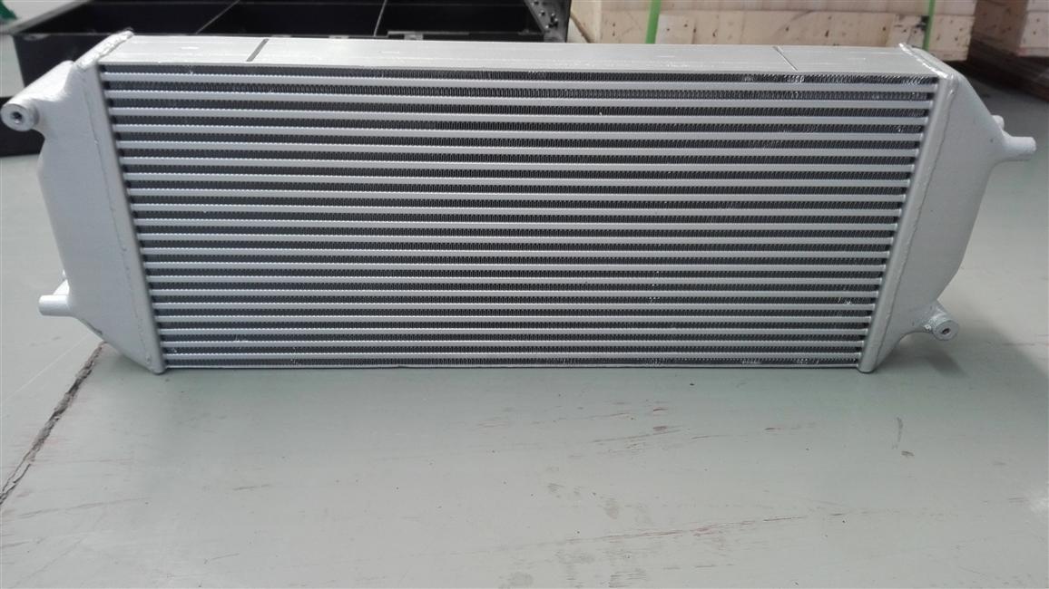 Intercooler, 213100177