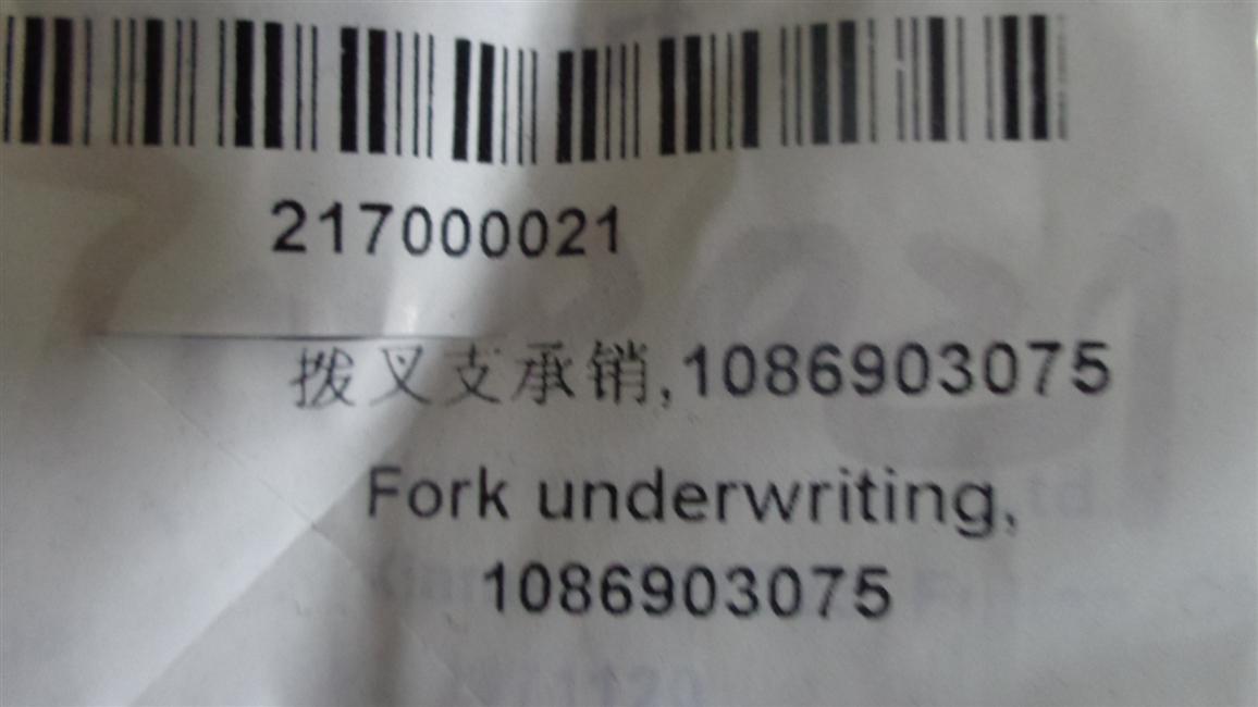 Fork bearing pin, 1086903075