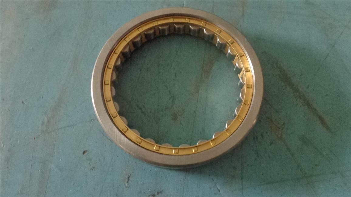 Cylindrical roller bearing without inner ring, 96.5*130*22, 1106903080-1