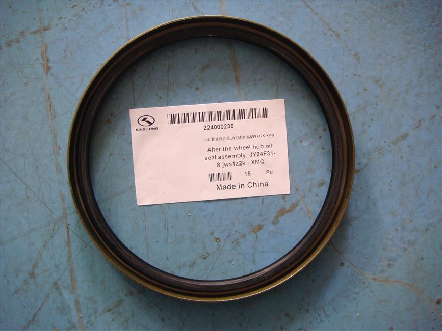 Rear hub oil seal assembly, JY24F31-8JWS1Z2K-XMQ
