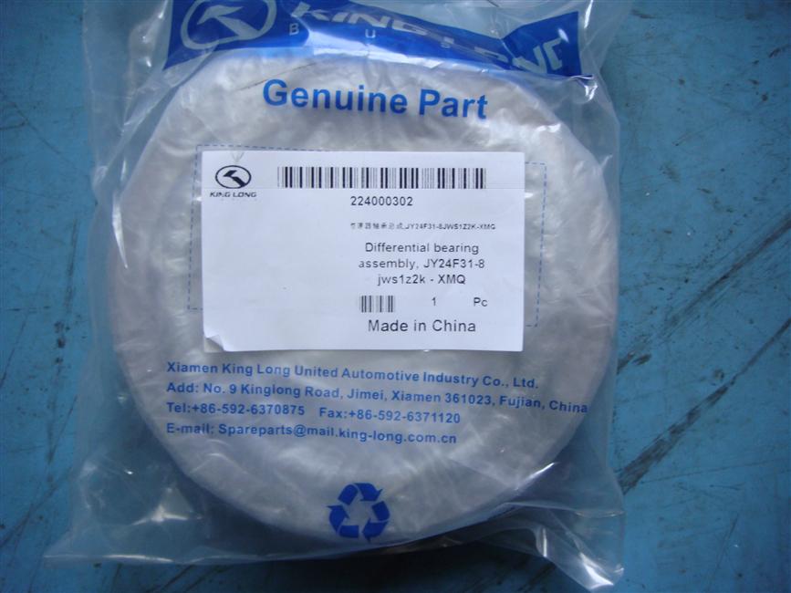 Differential bearing assembly, JY24F31-8JWS1Z2K-XMQ-2