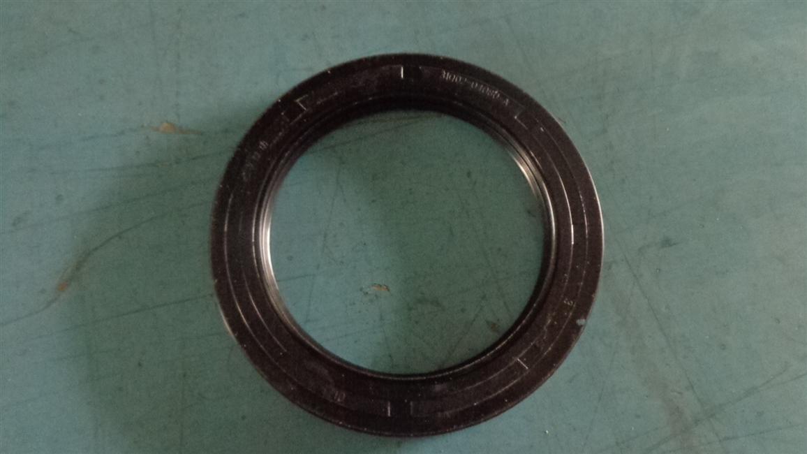 Rear hub oil seal assembly, 80G141C-1