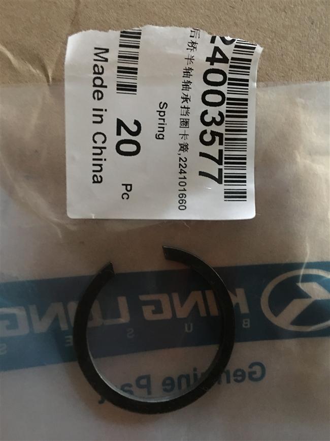 Rear axle half-axle bearing retaining ring spring, 224101660