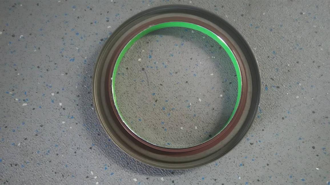 Main reducer oil seal, 224201280