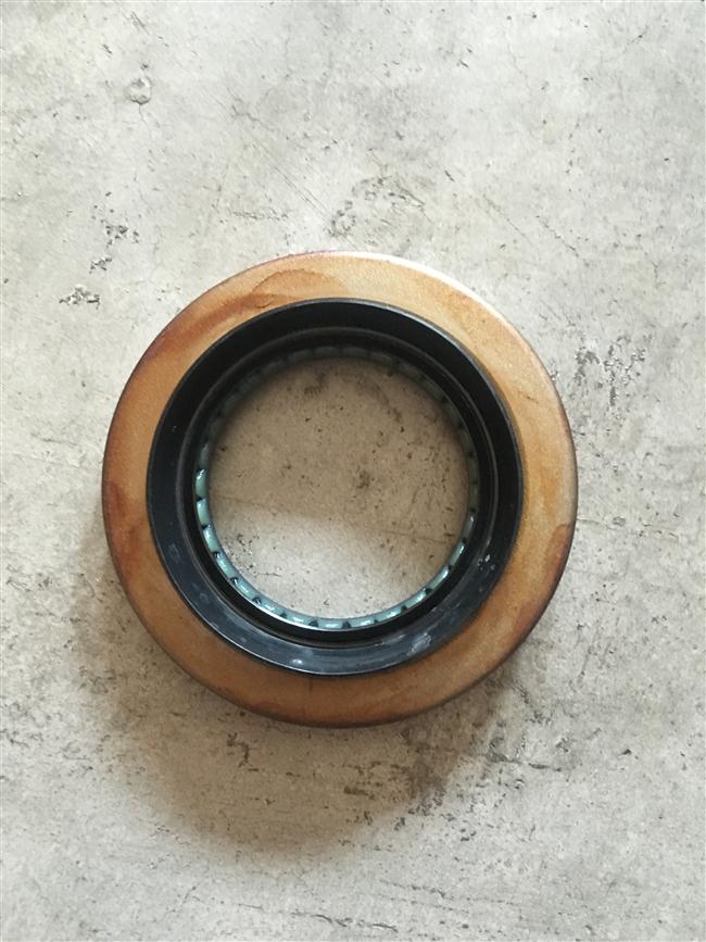 Active gear oil seal assembly (borrow), 224100432, KT