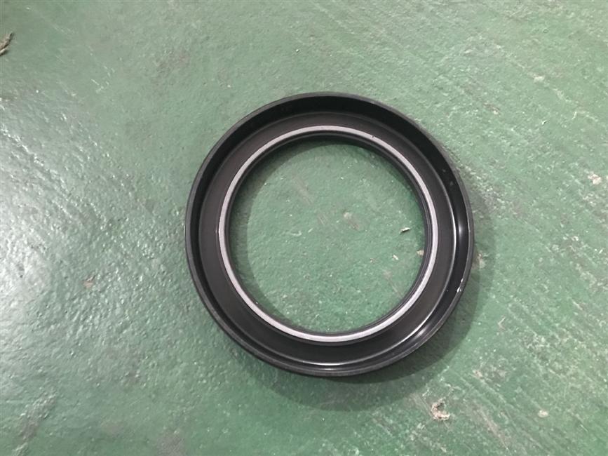 Rear hub oil seal assembly, 2400005-NQ72A-1