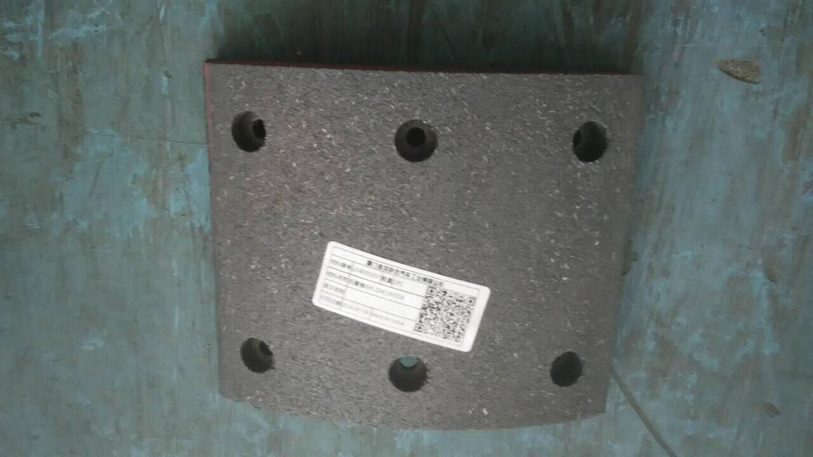 Plaque de frottement du frein arrière B (6 trous), 224100558