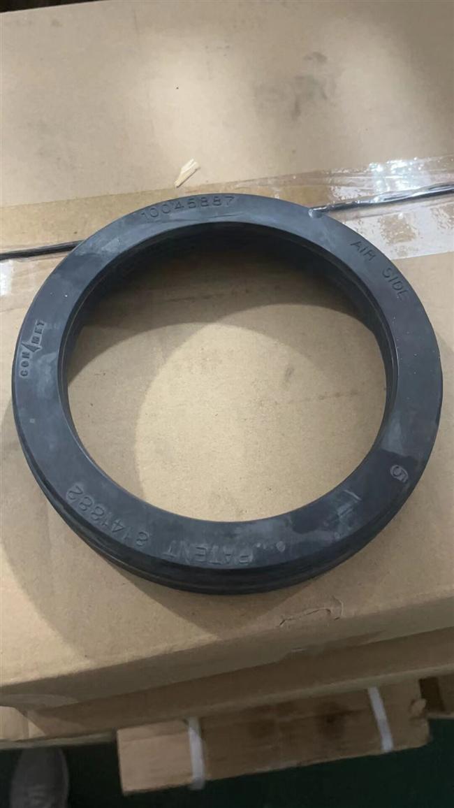 Hub oil seal assembly, 2400005-BC18Y-1