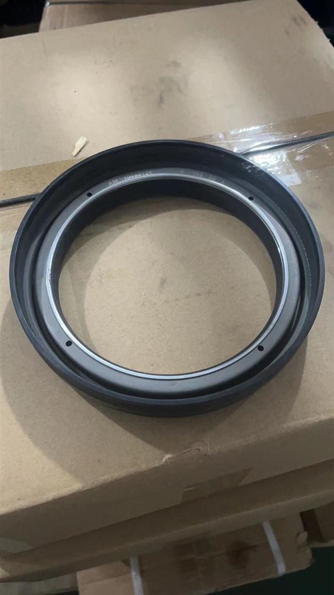 Hub oil seal assembly, 2400005-BC18Y