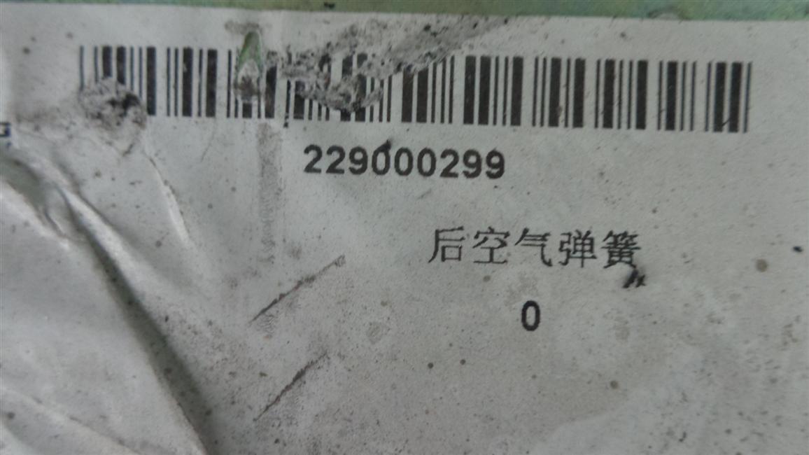 Rear air spring assembly, AD-126-230-2