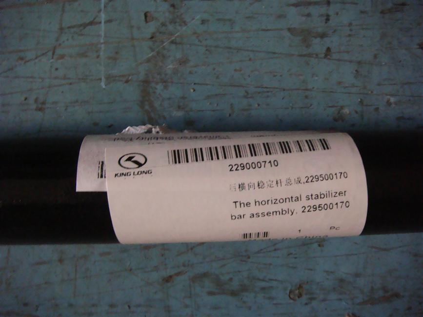 Rear transverse stabilizer rod assembly, 229500170-1