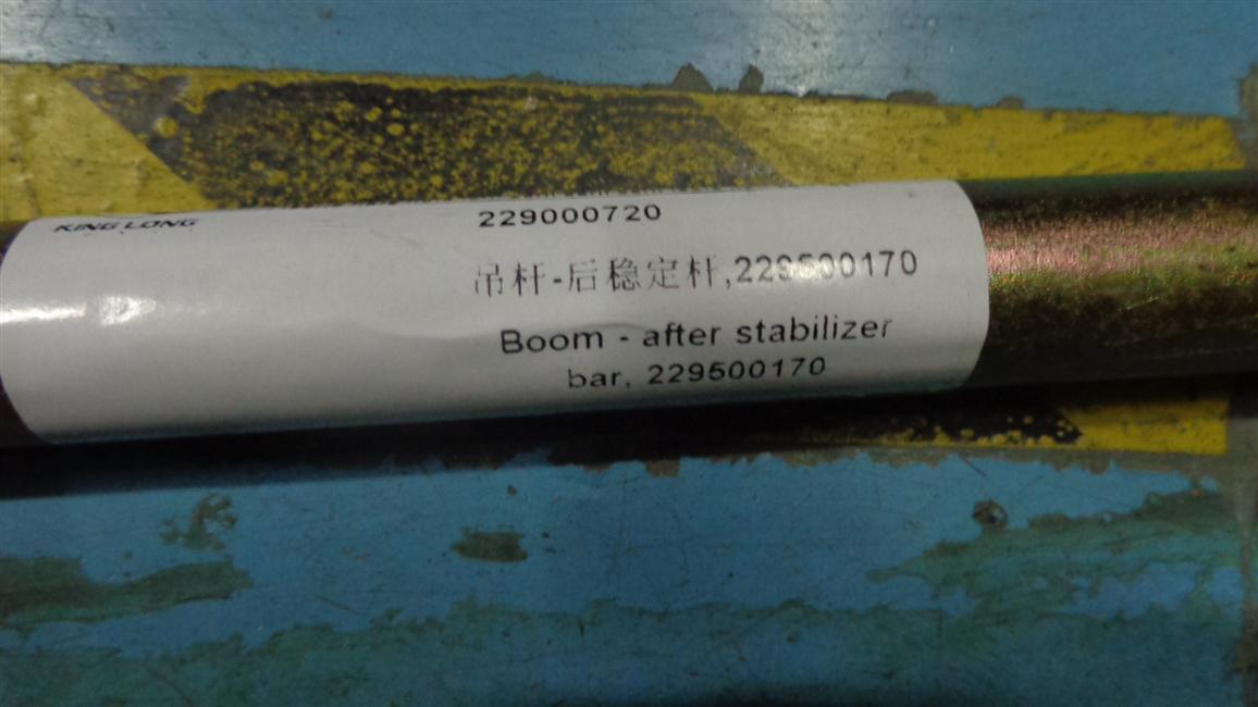 Hoisting rod-rear stabilizer, 229500170