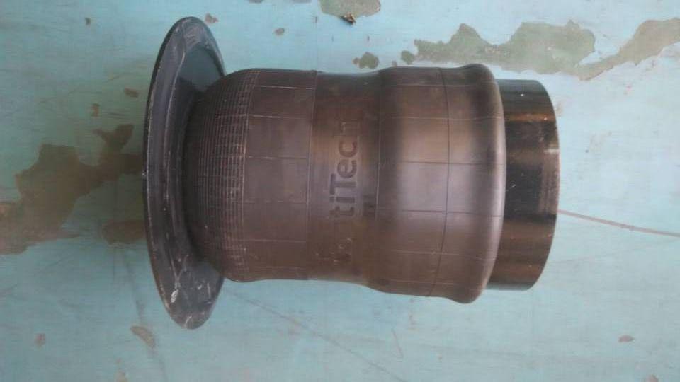 Передняя пружинная сборка, 229400096