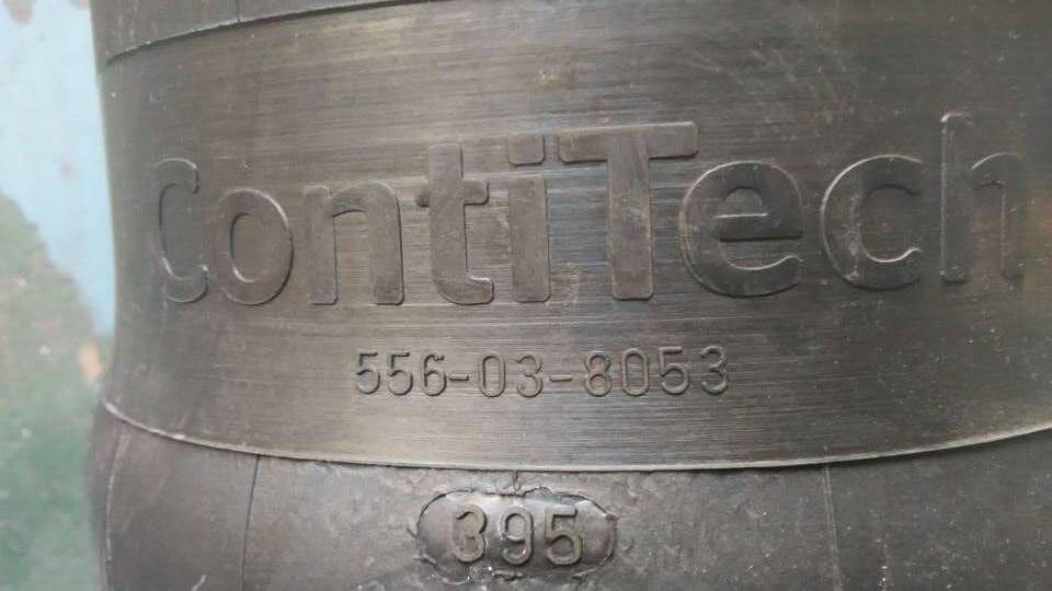 Front air spring assembly, 229400096-1