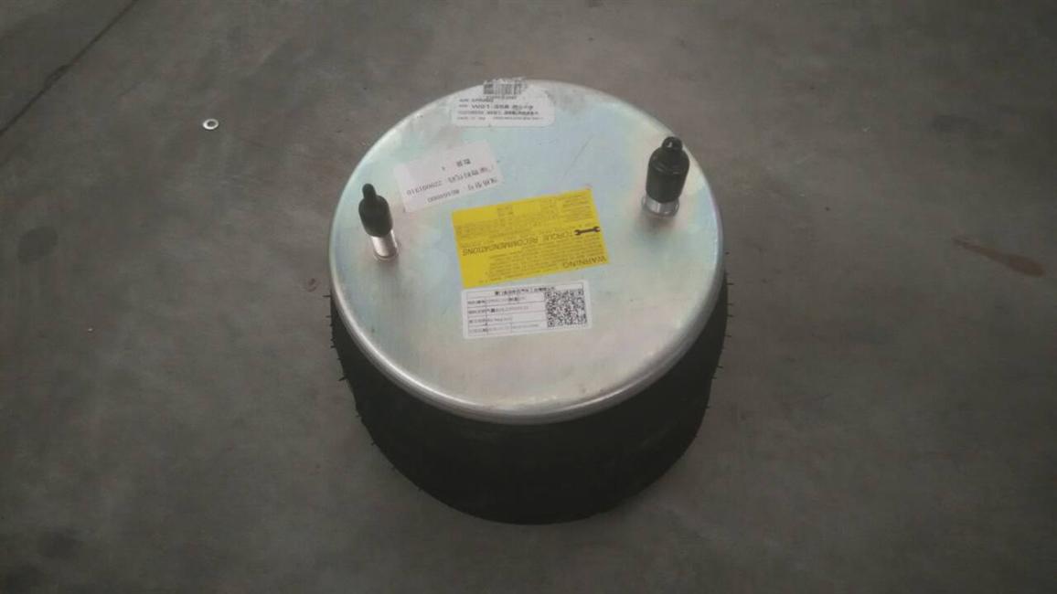 Airbag assembly (Feasestone), 229500110