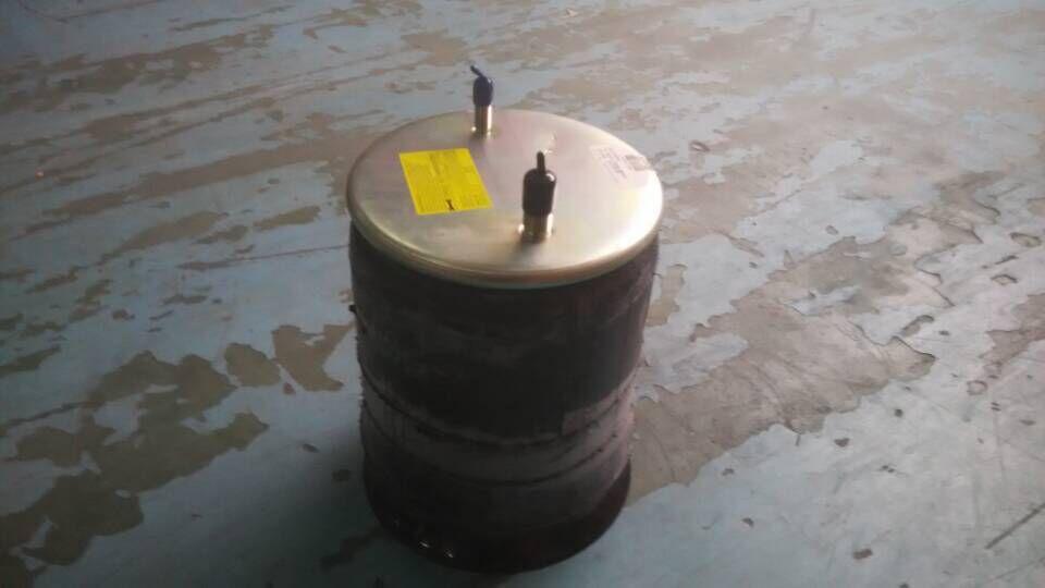 Airbag assembly, W01-358-9882