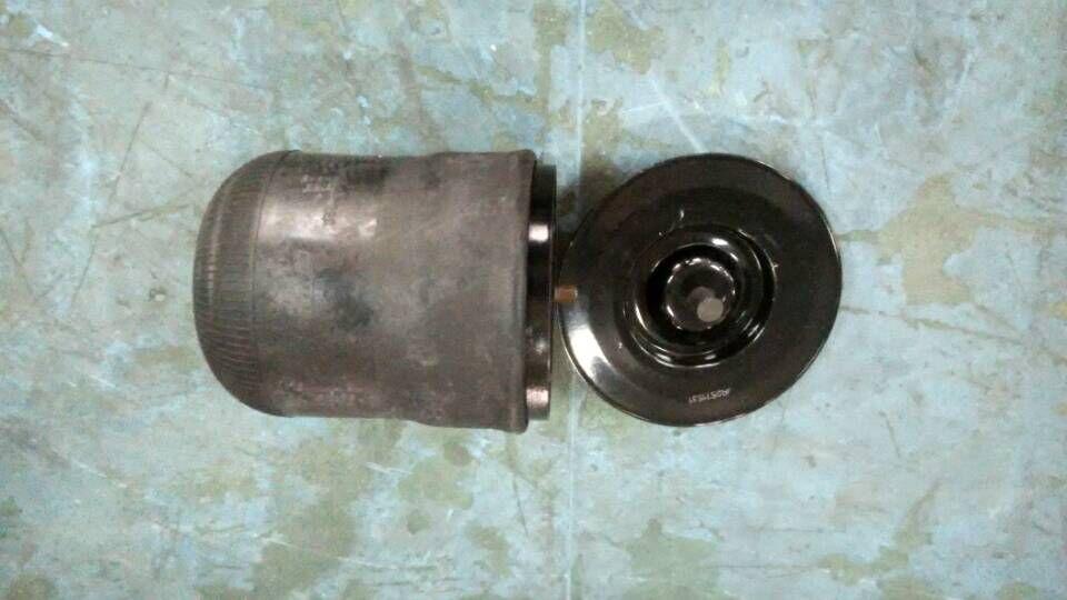 Airbag assembly (Feasestone), 229500470