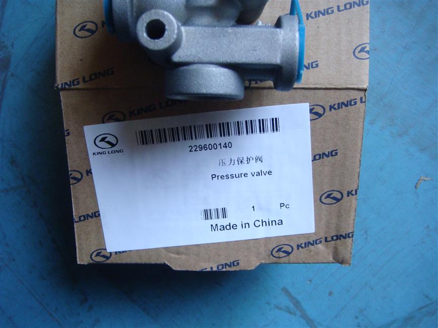 Pressure protection valve-2