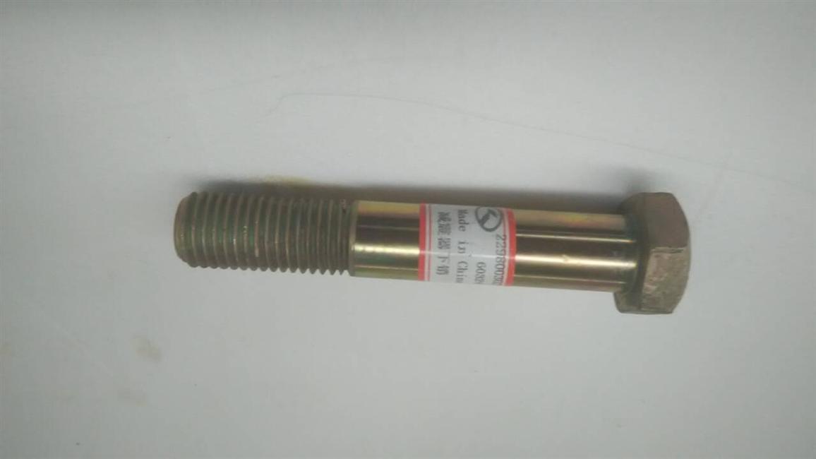 Shock Absorber Lower Pin-Front Suspension, M24,135