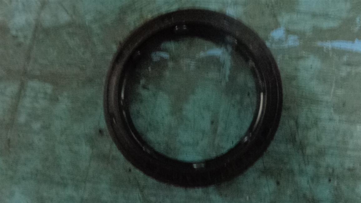 Braking base plate oil seal assembly, JY30XM-JWS1Z2-XMQ4