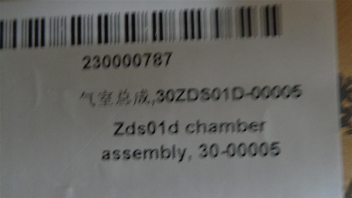 Right brake air chamber assembly, 30ZDS01D-00005