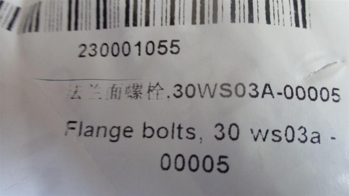 Hexagonal flange bolts-brake disc and wheel hub, 30WS03A-00005