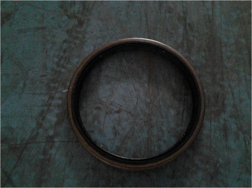 Масляная пломба, JY30FS6P2-WS1-XMQ2