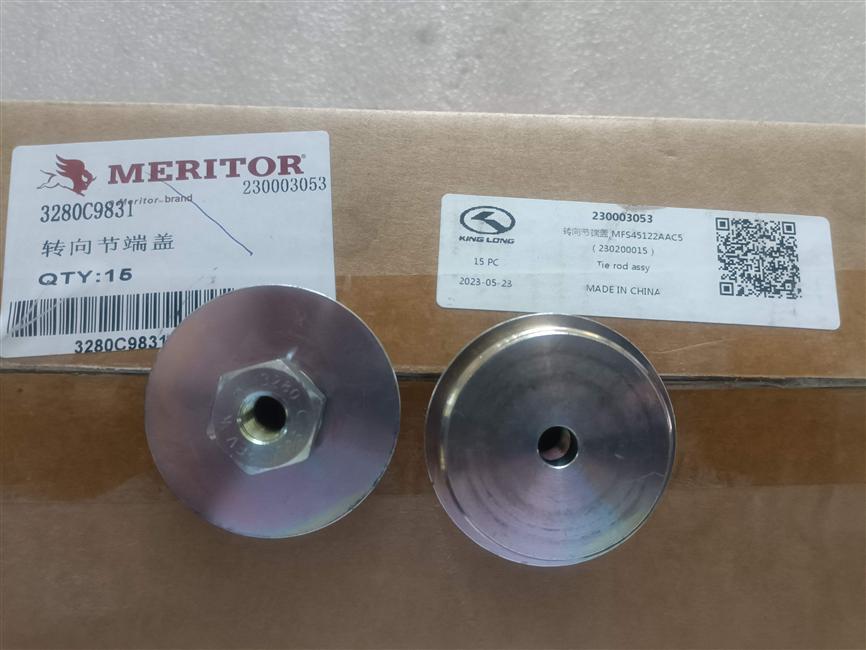 Steering knuckle end cover, MFS45122AAC5 (230200015)-1