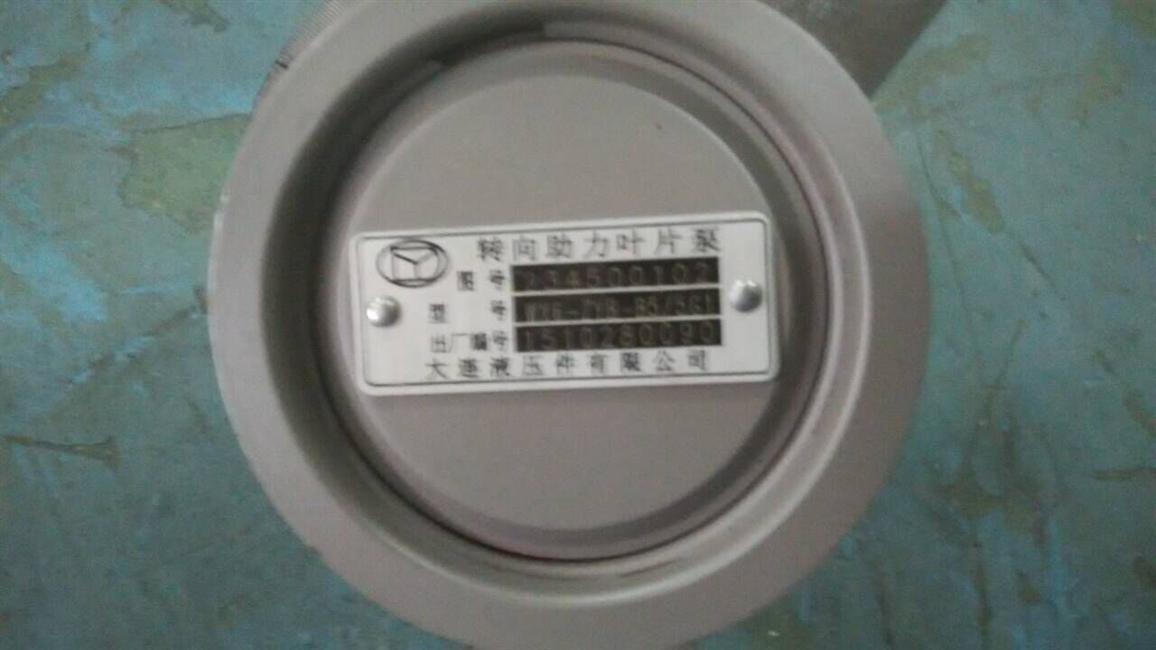 Steering oil pump, WP6 series-3